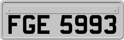 FGE5993