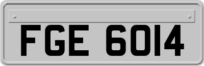FGE6014