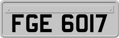 FGE6017