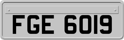 FGE6019