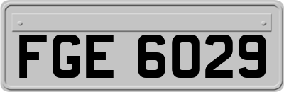FGE6029