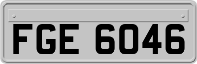 FGE6046