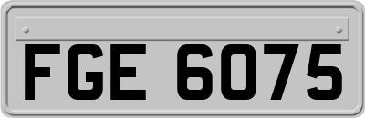FGE6075