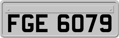 FGE6079