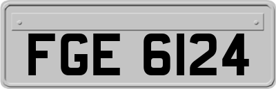 FGE6124
