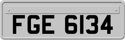 FGE6134