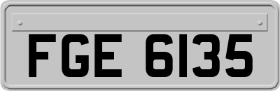 FGE6135