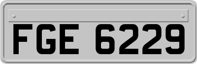 FGE6229