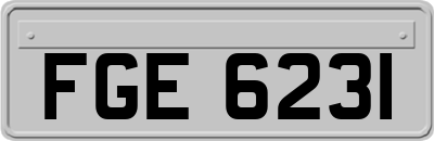 FGE6231