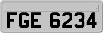 FGE6234