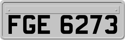 FGE6273