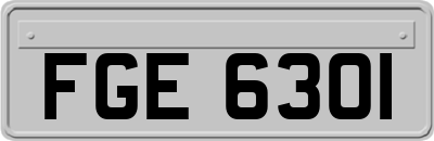 FGE6301