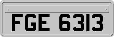 FGE6313