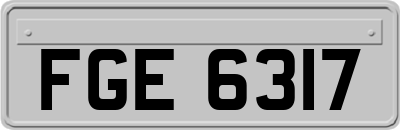 FGE6317