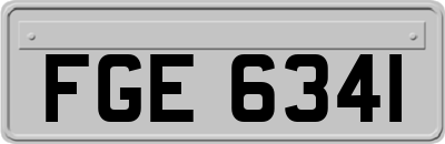 FGE6341
