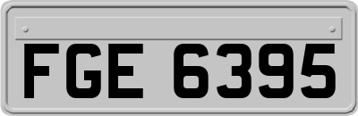 FGE6395
