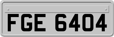 FGE6404