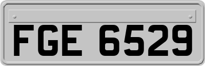 FGE6529