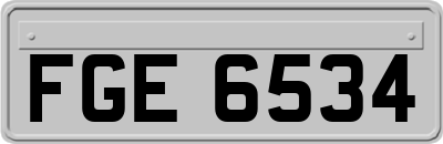 FGE6534