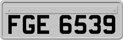 FGE6539