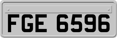 FGE6596