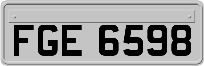 FGE6598