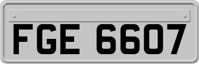 FGE6607