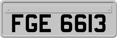 FGE6613