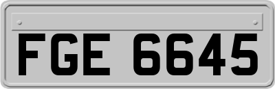 FGE6645