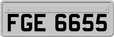 FGE6655