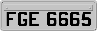 FGE6665