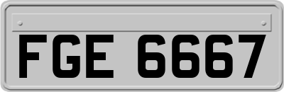 FGE6667