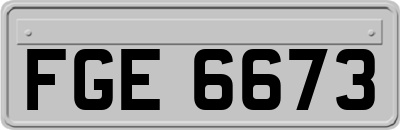 FGE6673