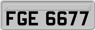 FGE6677