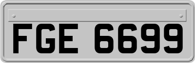 FGE6699
