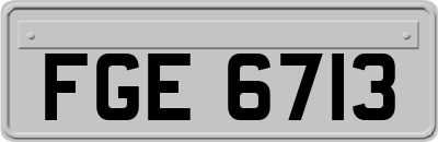 FGE6713