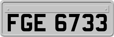 FGE6733