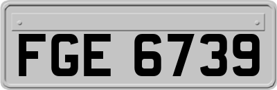 FGE6739