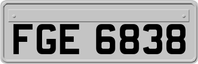 FGE6838