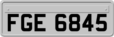 FGE6845