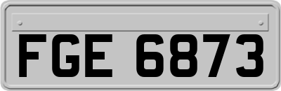 FGE6873