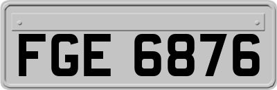 FGE6876