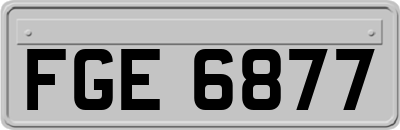FGE6877
