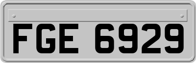 FGE6929