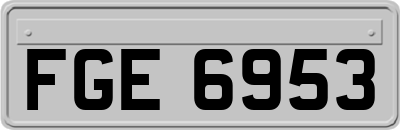 FGE6953