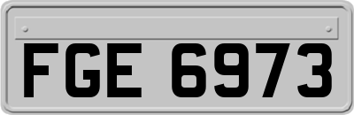 FGE6973