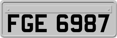 FGE6987