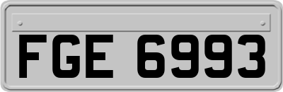 FGE6993