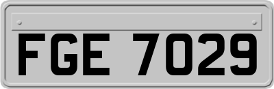 FGE7029