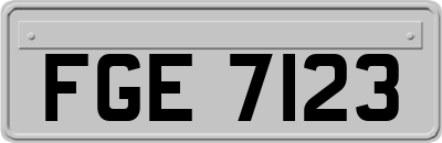 FGE7123
